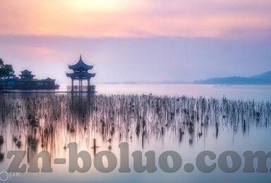 av在线麻豆-探索AV在线文化，麻豆的多样性与数字化影响