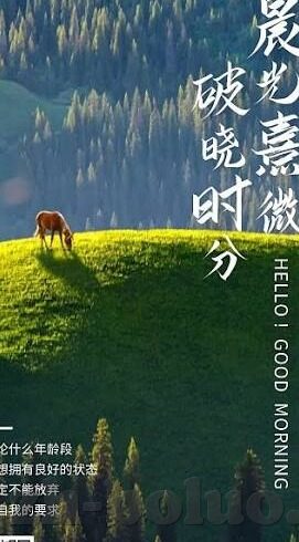 成人玩具用品使用视频-成人玩具用品的趣味与私密，探索视频的多元视角