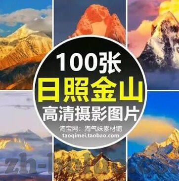 大象传媒伊甸园-大象传媒伊甸园，创意与文化的交融之地