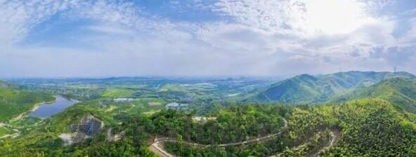大象视频大全清晰-探索大象视频大全的清晰世界