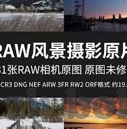 关于大象的故事视频-探索自然界的智慧，一只大象的故事视频