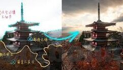 果冻传媒 在线-探索果冻传媒的在线影响力与未来趋势
