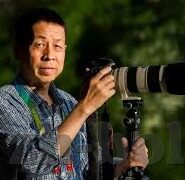 麻豆传媒映画女主角-电影佳作与女性魅力，麻豆传媒映画女主角的独特风采