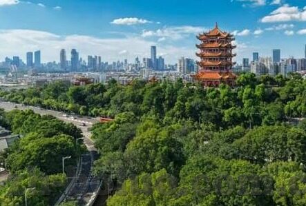 麻豆直播间app-麻豆直播间app——打开娱乐新视界的钥匙