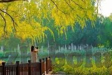 亚洲中文字幕无码久久2021-探索亚洲文化多样性的独特视角，2021年无码内容的启示